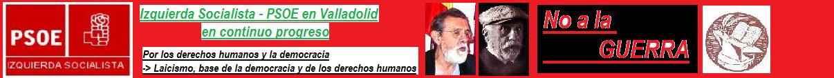 Izquierda Socialista de Valladolid por la defensa de la Sanidad P�blica